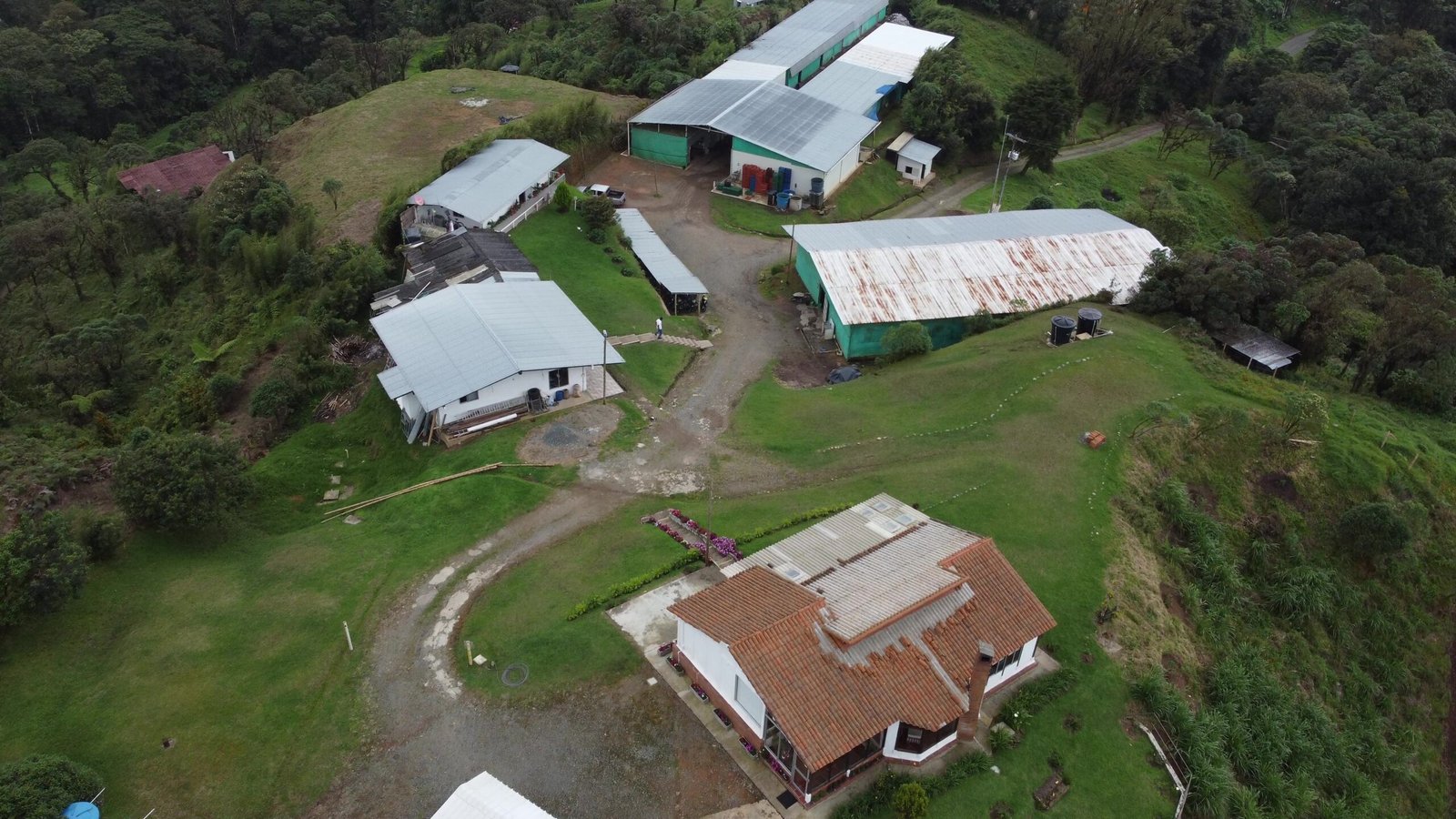 empresa champis champiñones del valle del cauca